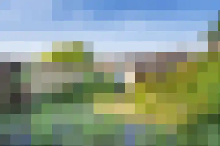Ardennenlaan 76 Heemskerk thumbnail 27