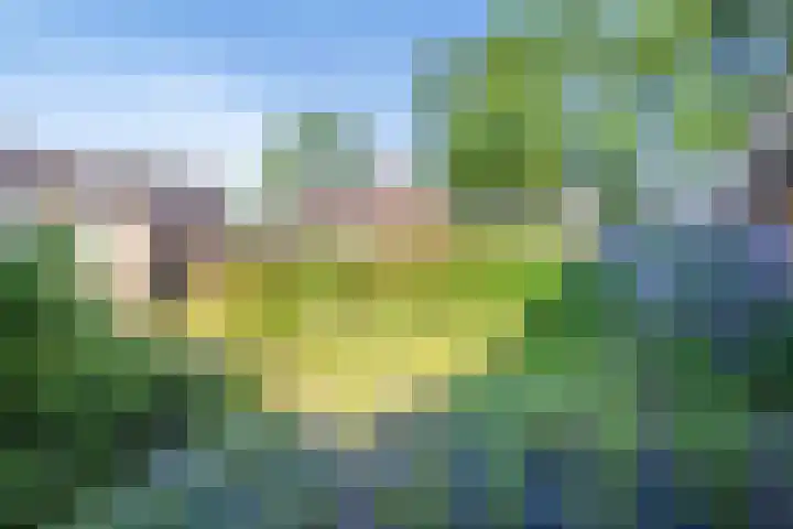Ardennenlaan 76 Heemskerk thumbnail 28