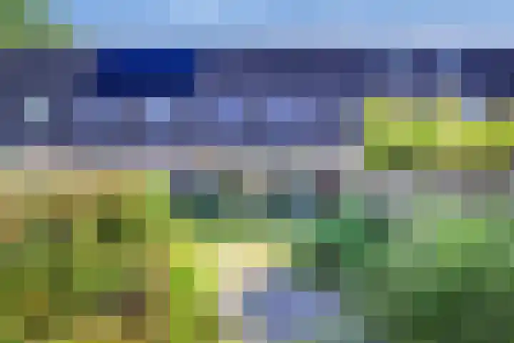 Ardennenlaan 76 Heemskerk thumbnail 29