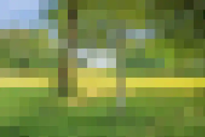 Ardennenlaan 76 Heemskerk thumbnail 32