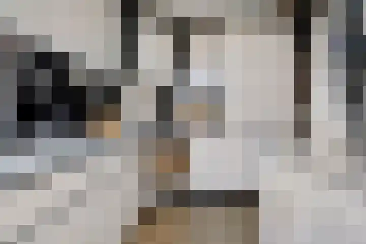 Ardennenlaan 96 Tilburg thumbnail 10