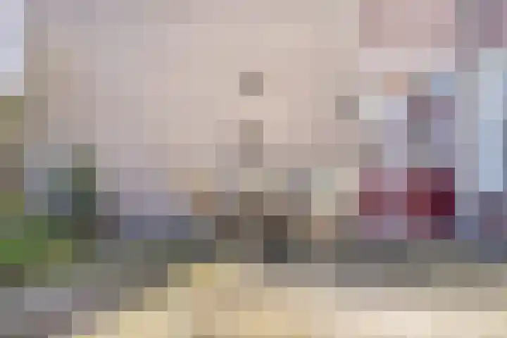 Ardennenlaan 96 Tilburg thumbnail 26