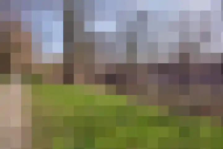 Ardennenlaan 96 Tilburg thumbnail 29