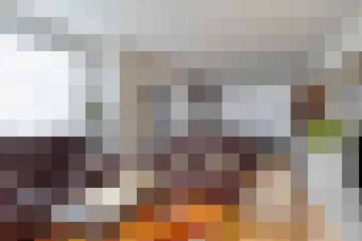 Ardennenlaan 96 Tilburg thumbnail 5
