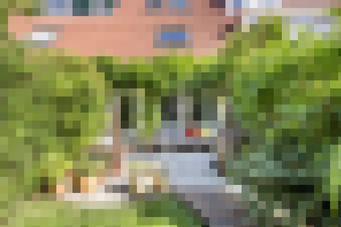 Ardennenstraat 12 Alkmaar thumbnail 26