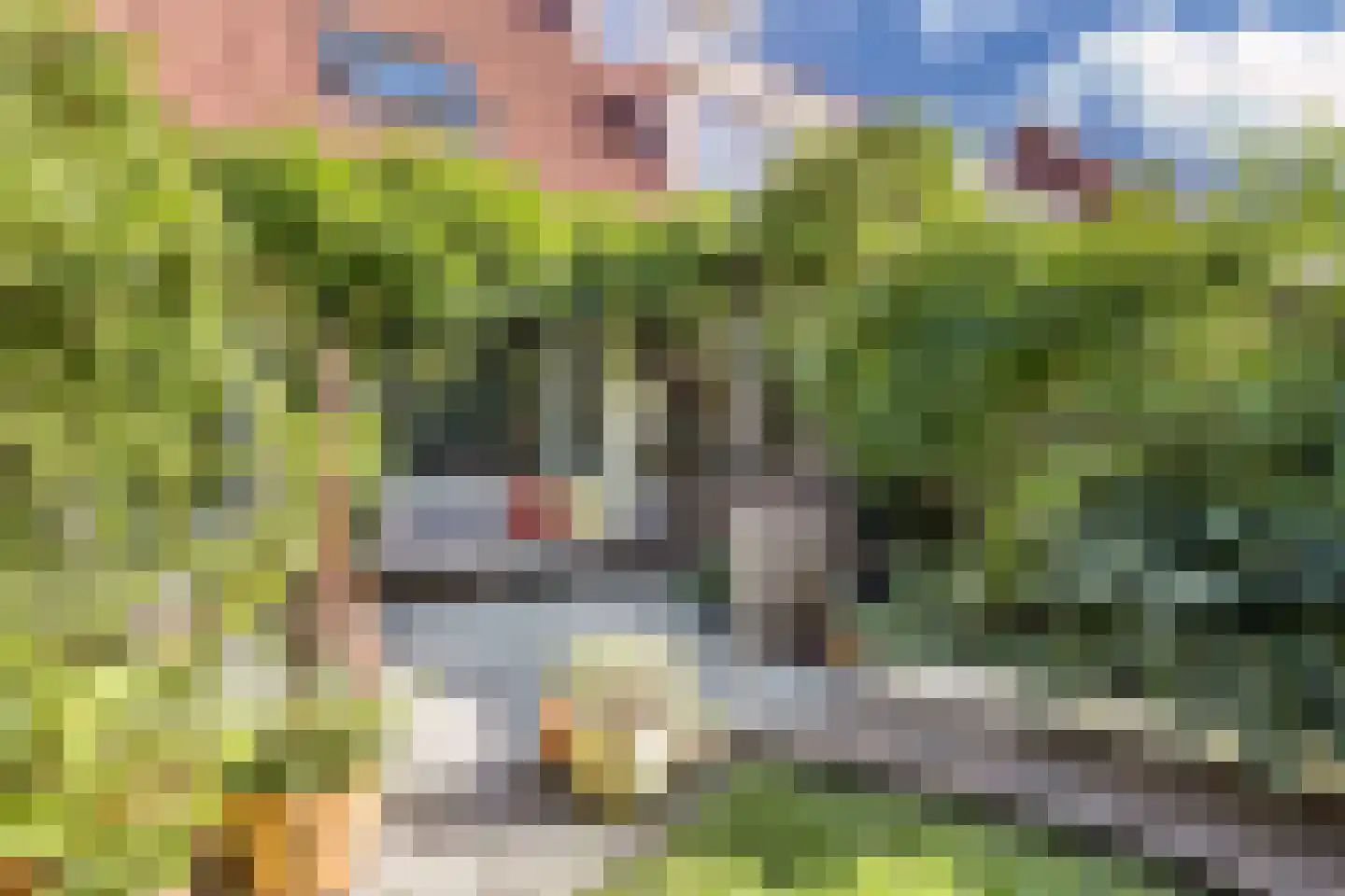 Ardennenstraat 12 Alkmaar thumbnail 27