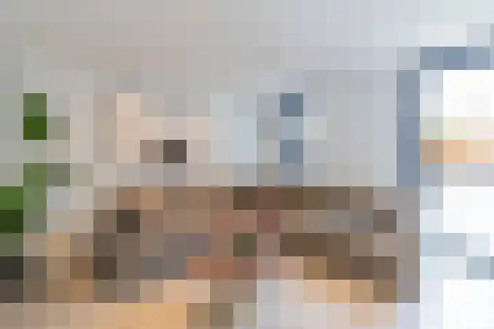 Ardennenstraat 12 Sittard thumbnail 8