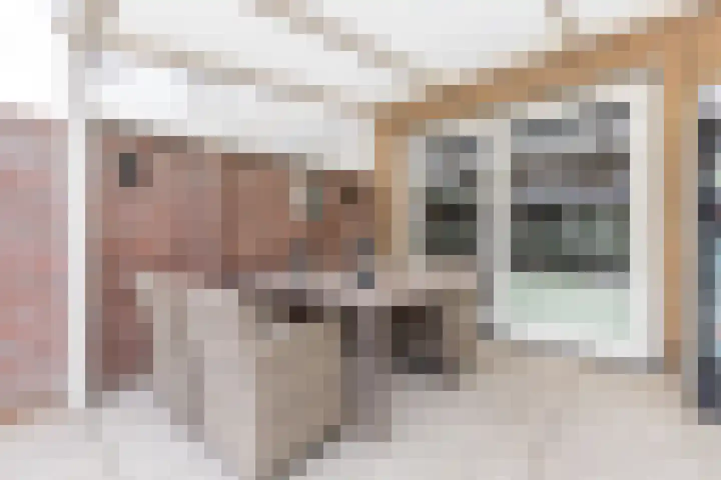 Ardennenweide 132 Tilburg thumbnail 31