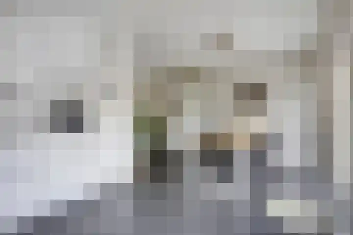 Ardennenweide 134 Tilburg thumbnail 13