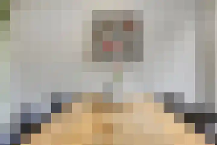 Ardennenweide 134 Tilburg thumbnail 14