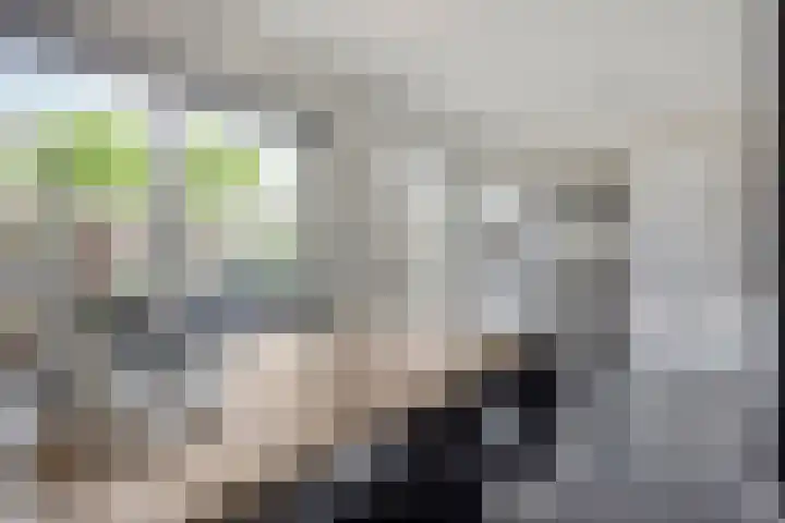 Ardennenweide 134 Tilburg thumbnail 17
