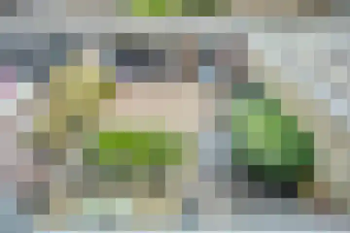 Ardennenweide 134 Tilburg thumbnail 28