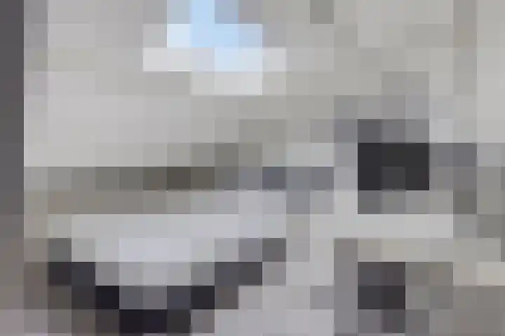 Ardennenweide 134 Tilburg thumbnail 33