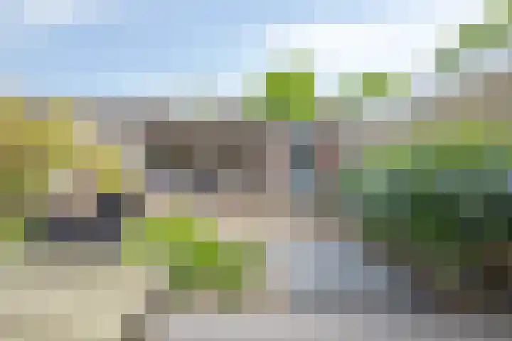 Ardennenweide 134 Tilburg thumbnail 37
