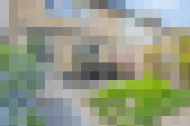 Ardennenweide 134 Tilburg thumbnail 38