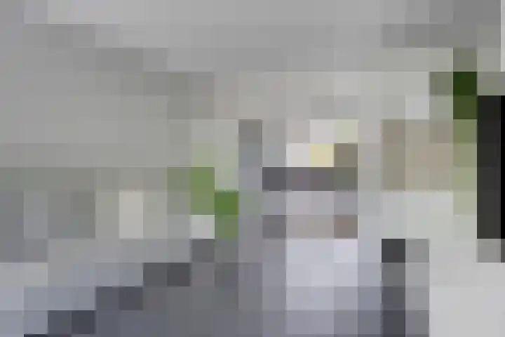 Ardennenweide 134 Tilburg thumbnail 4
