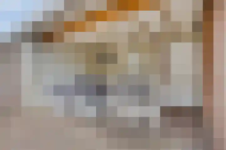 Ardennenweide 134 Tilburg thumbnail 41