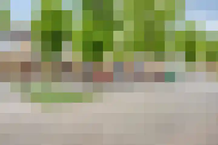 Ardennenweide 134 Tilburg thumbnail 43