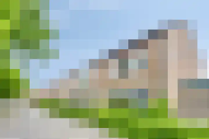 Ardennenweide 134 Tilburg thumbnail 44