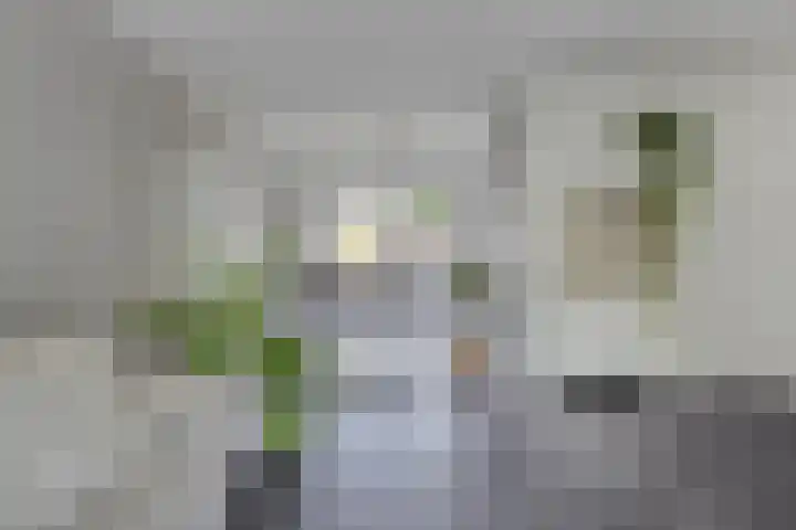 Ardennenweide 134 Tilburg thumbnail 5