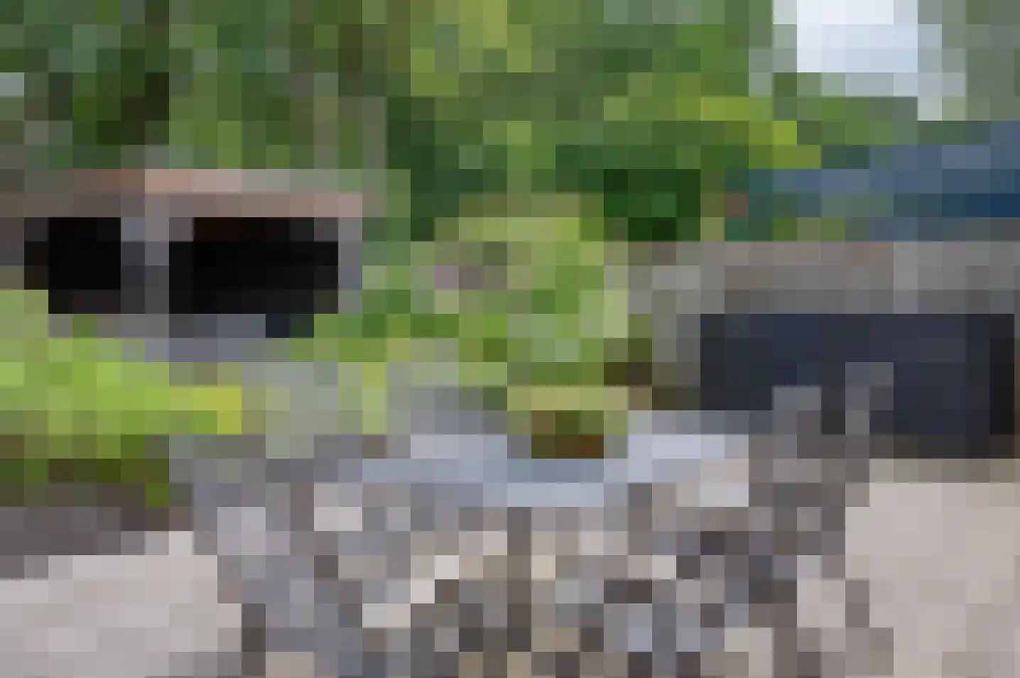 Ardinckhoek 48 Zelhem thumbnail 49