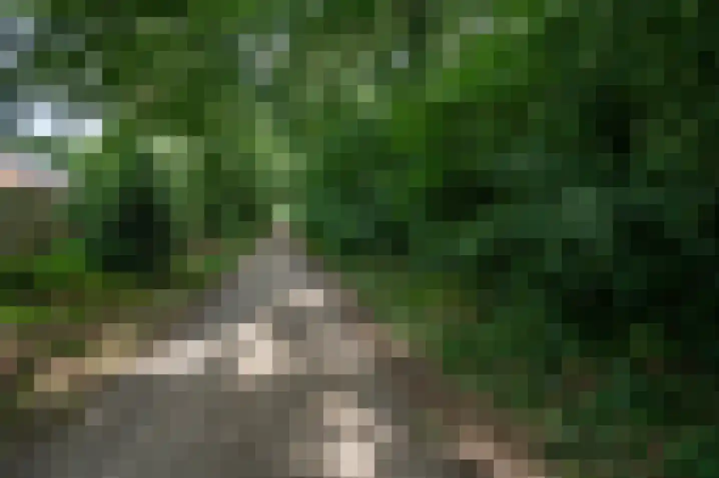 Ardinckhoek 48 Zelhem thumbnail 59