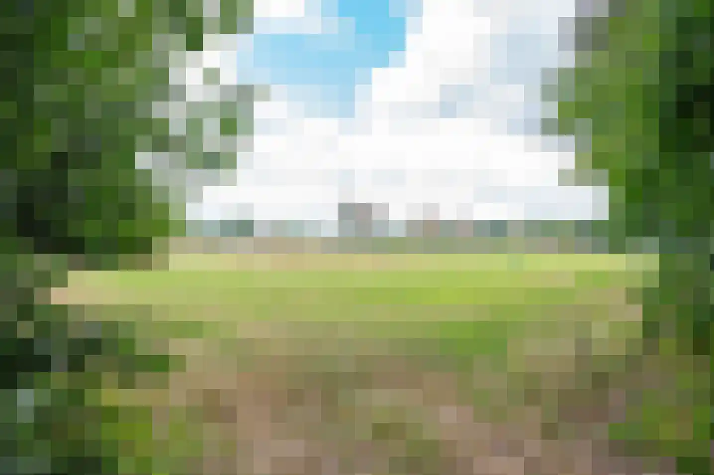 Ardinckhoek 48 Zelhem thumbnail 61