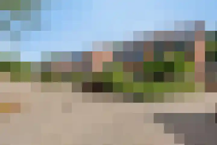Ardinckhoek 52 Zelhem thumbnail 35