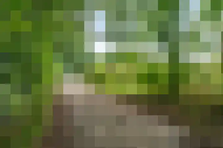 Ardinckhoek 52 Zelhem thumbnail 36