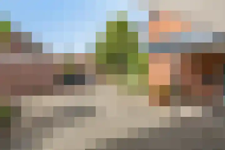 Ardinckhoek 52 Zelhem thumbnail 6