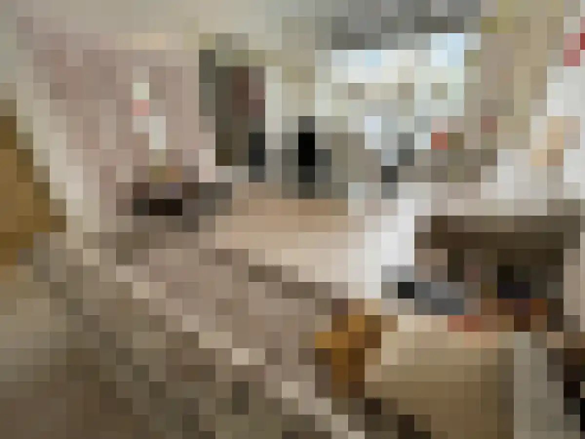 Arduinlaan Groningen thumbnail 4