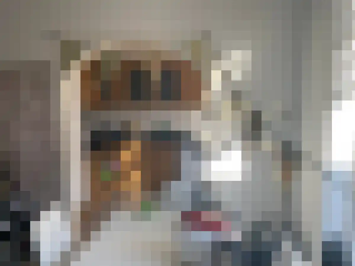 Arduinlaan Groningen thumbnail 5