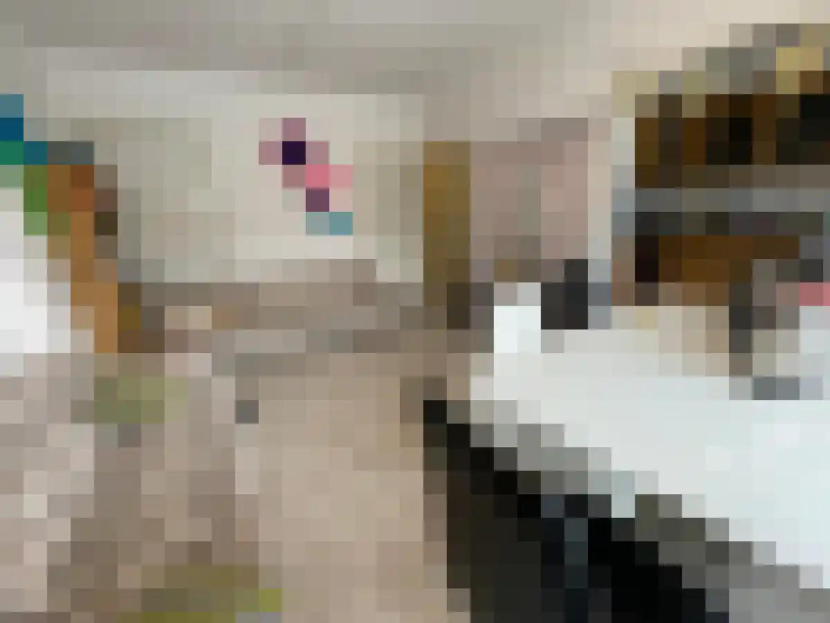 Arduinlaan Groningen thumbnail 5