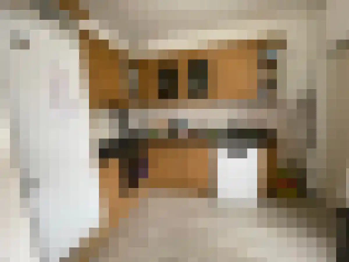 Arduinlaan Groningen thumbnail 6