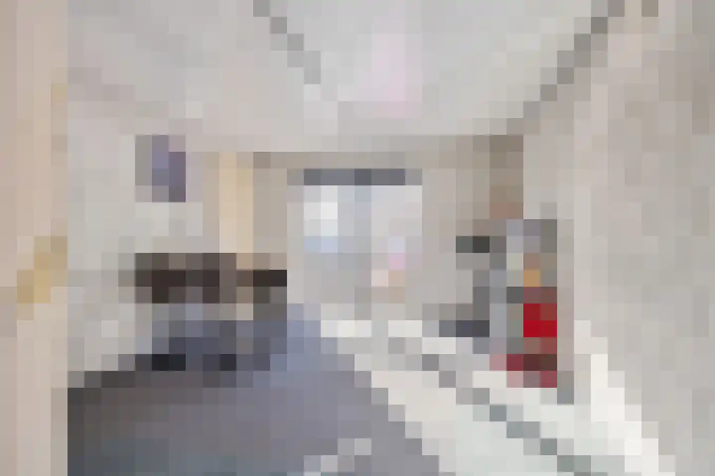 Arduinstraat 19 A Breda thumbnail 123