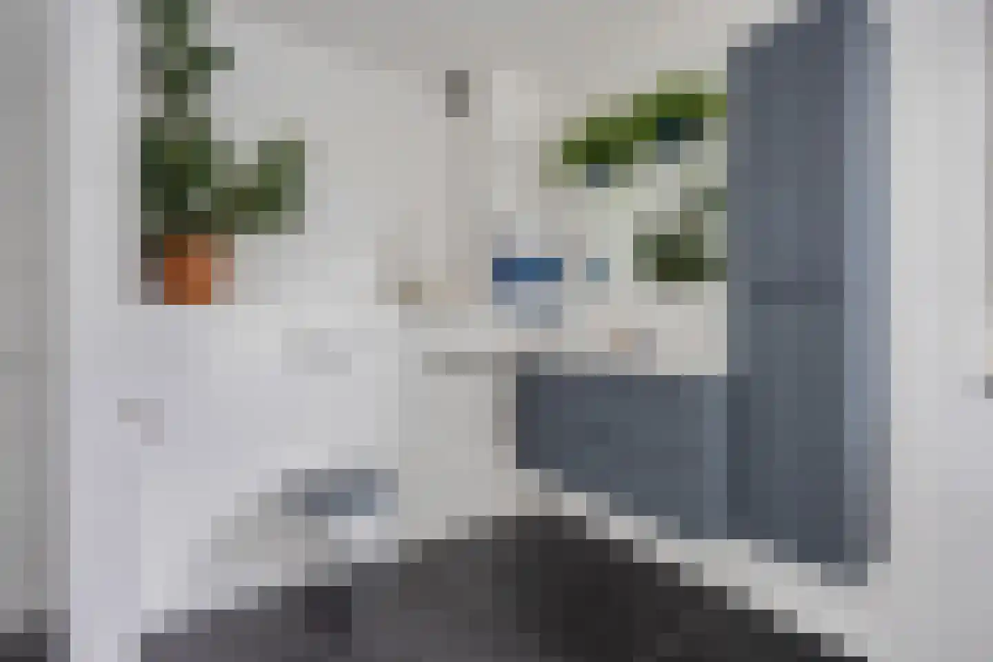 Arduinstraat 19 A Breda thumbnail 67