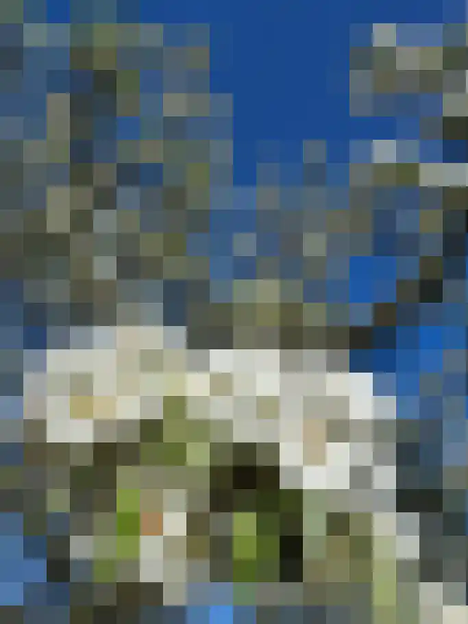 Arduinstraat 19 A Breda thumbnail 92