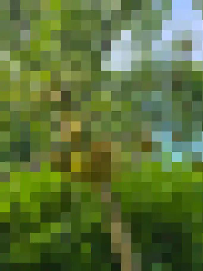 Arduinstraat 19 A Breda thumbnail 93