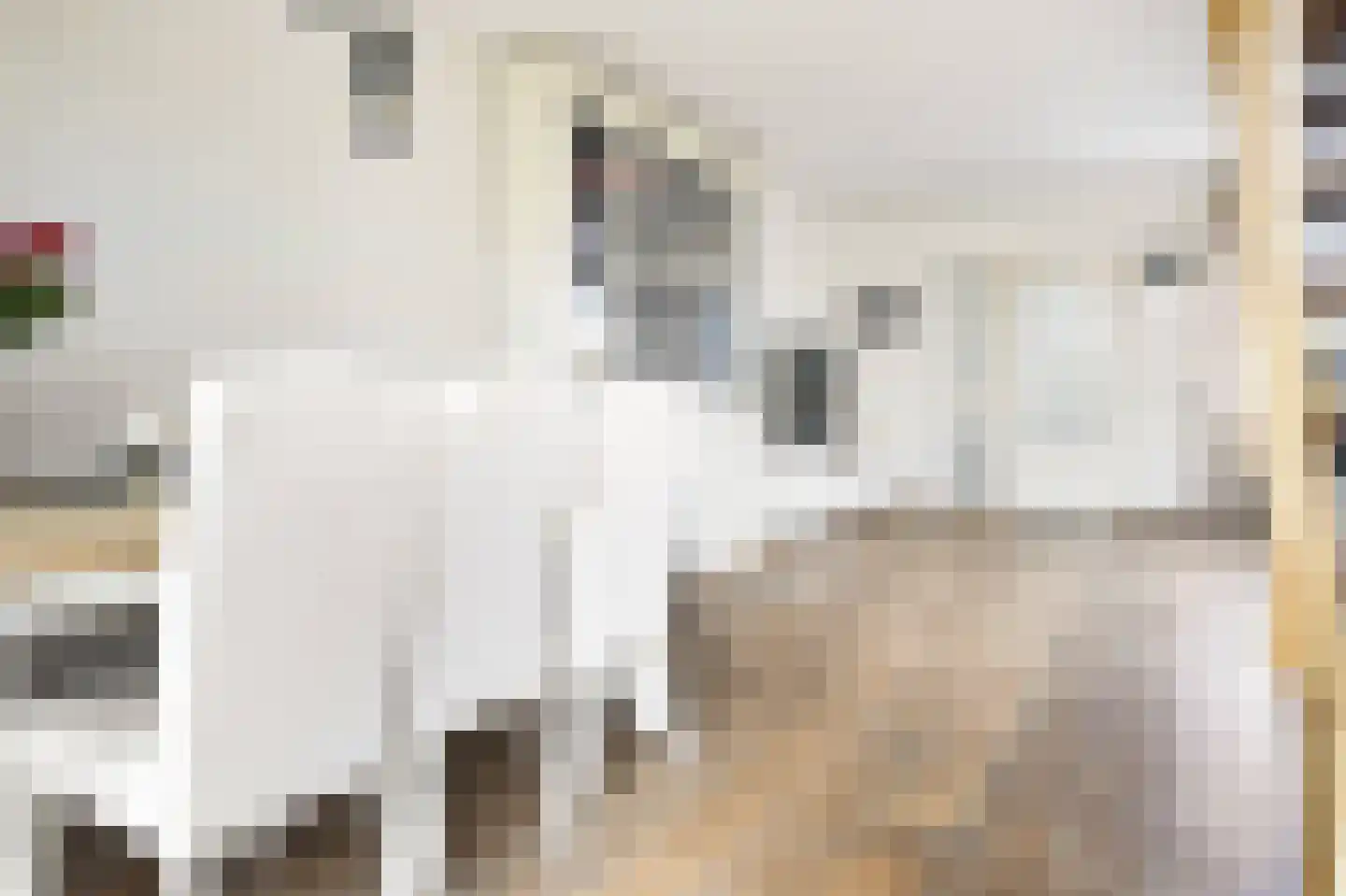 Arem 11 Nieuw-Vennep thumbnail 13
