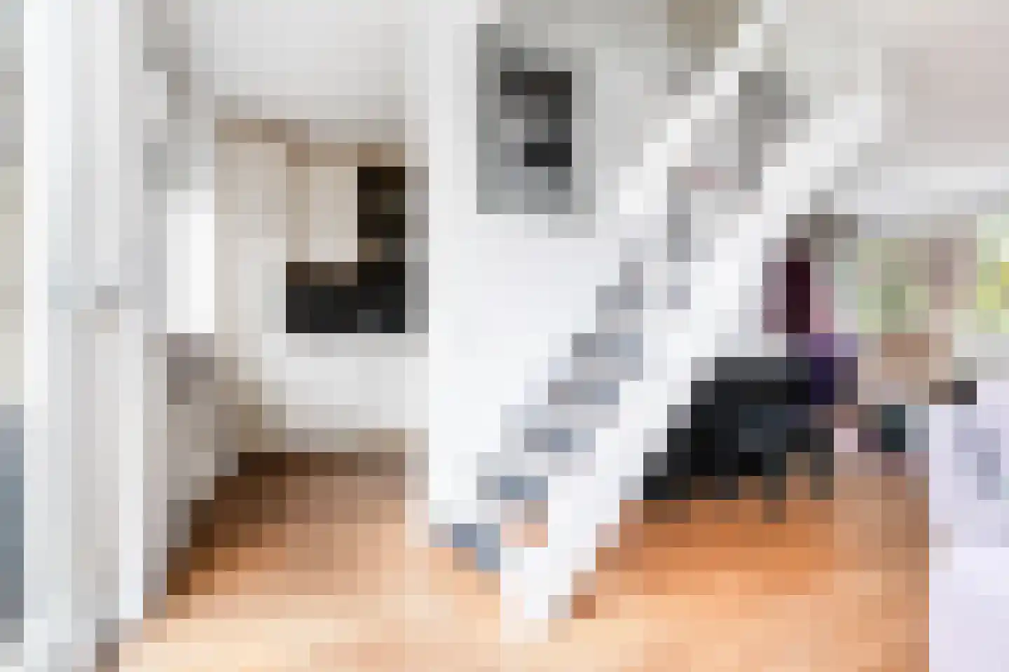 Arem 12 Nieuw-Vennep thumbnail 13