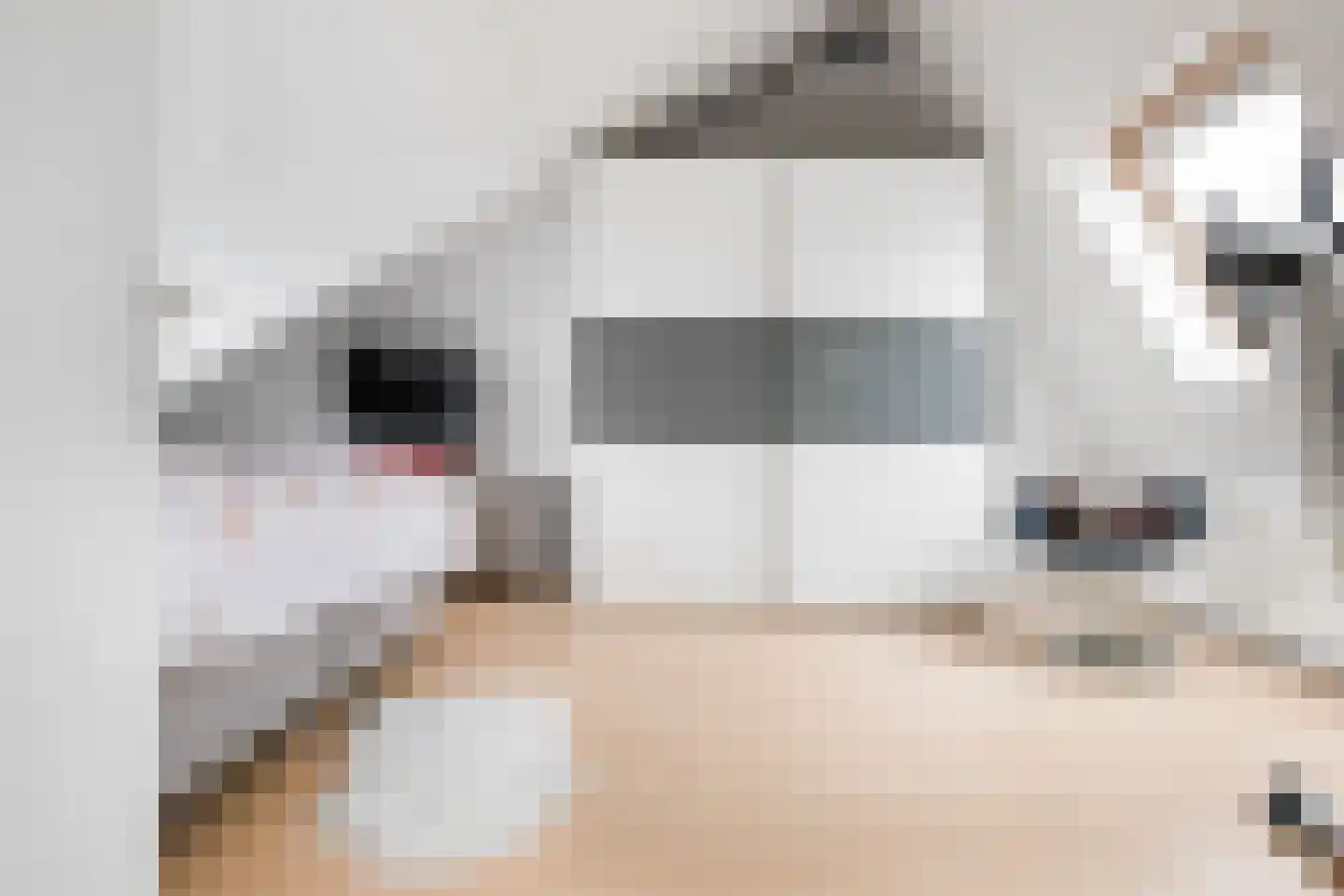 Arem 12 Nieuw-Vennep thumbnail 26