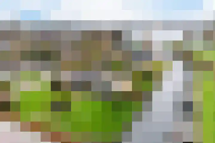 Arembergerstraat 16 Zwartsluis