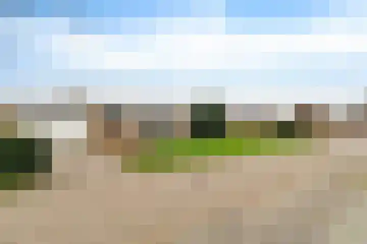 Arembergerstraat 16 Zwartsluis thumbnail 10