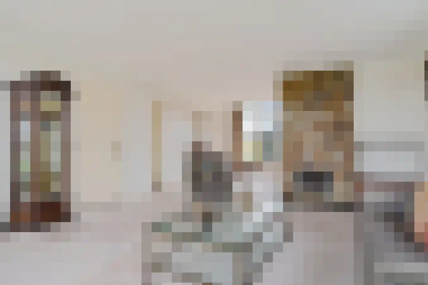 Arembergerstraat 16 Zwartsluis thumbnail 22