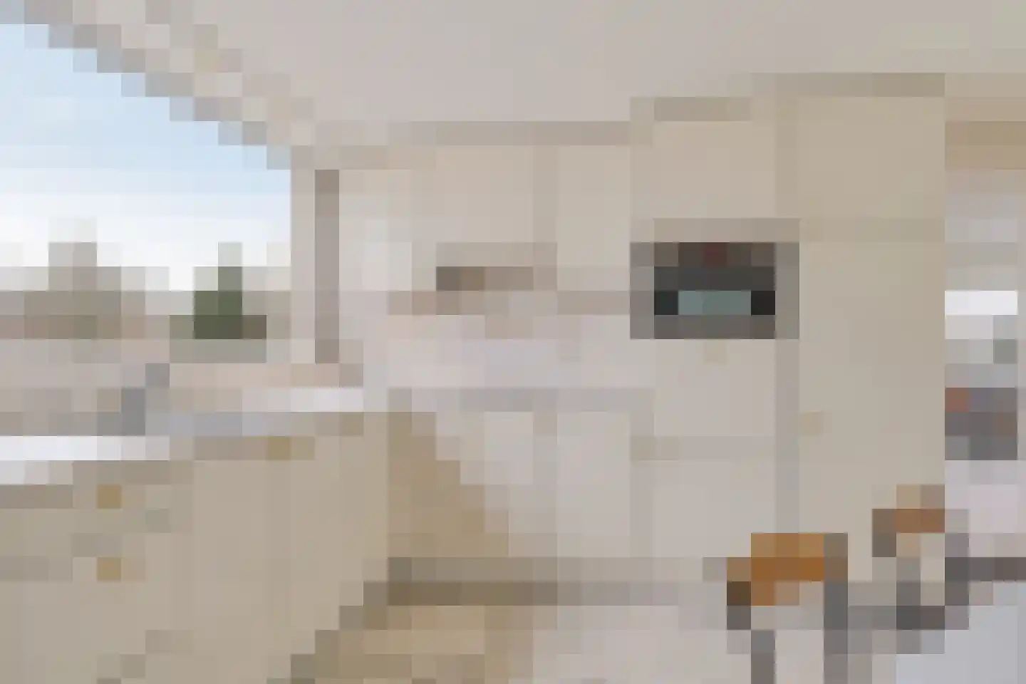 Arembergerstraat 16 Zwartsluis thumbnail 26