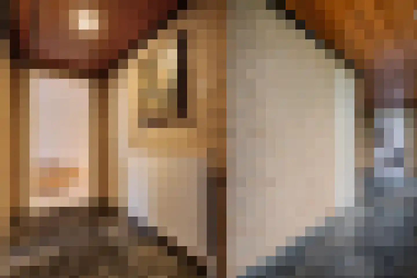 Arembergerstraat 16 Zwartsluis thumbnail 33
