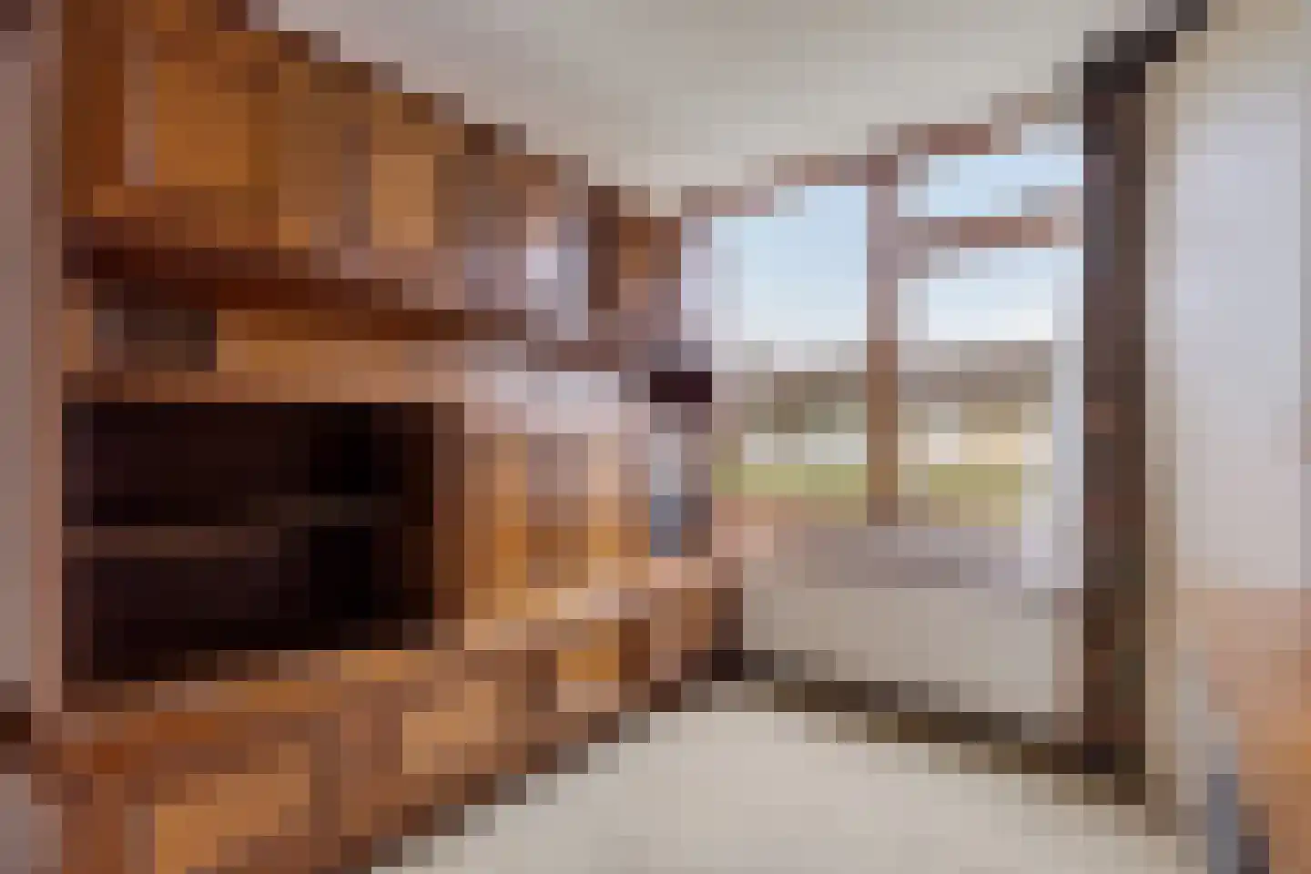 Arembergerstraat 16 Zwartsluis thumbnail 34