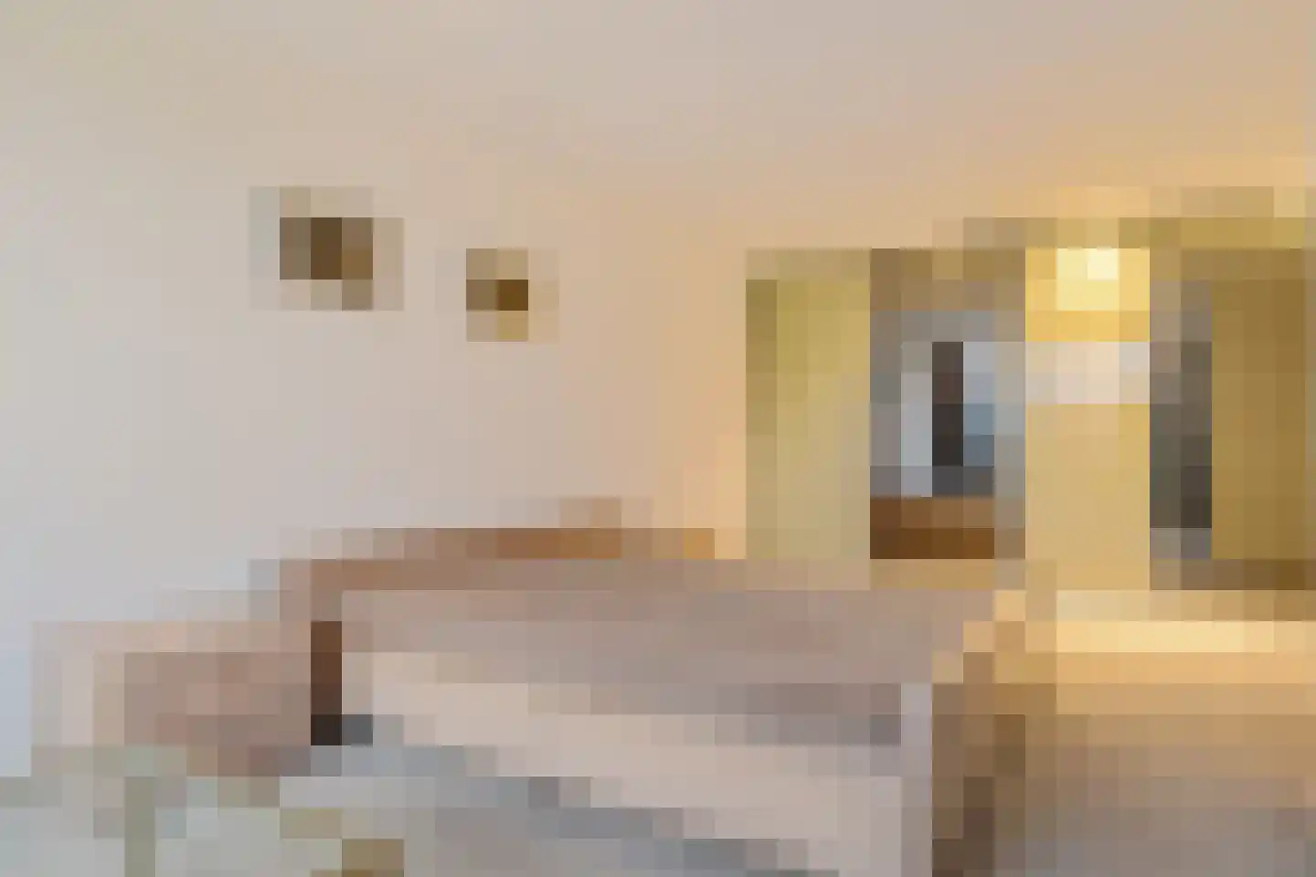 Arembergerstraat 16 Zwartsluis thumbnail 36