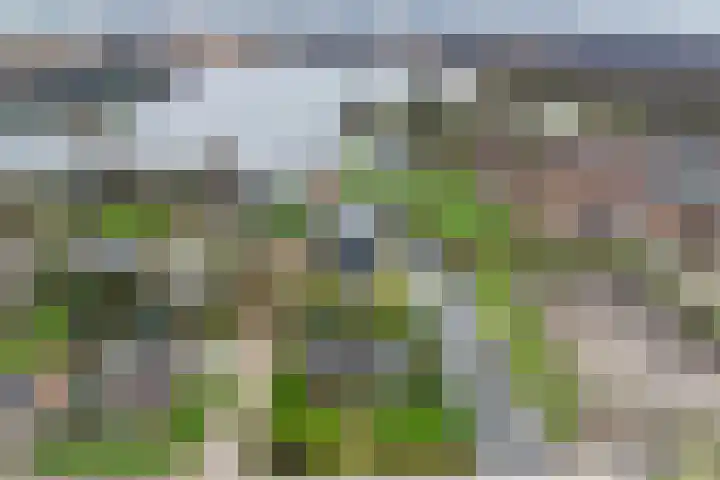 Arembergerstraat 16 Zwartsluis thumbnail 5