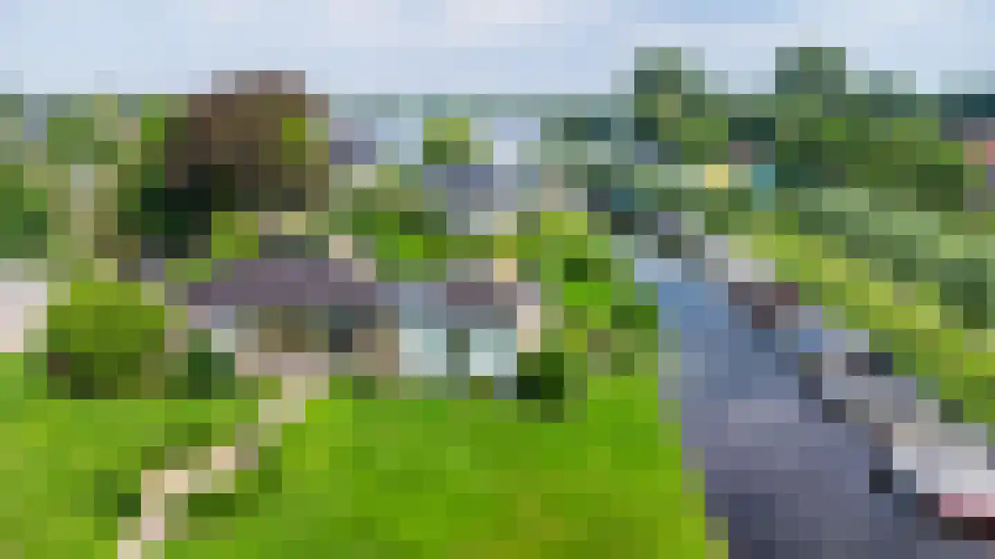 Arembergerstraat 16 Zwartsluis thumbnail 6